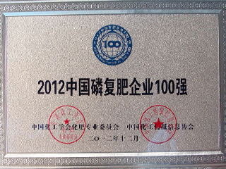 2012年磷復肥100強